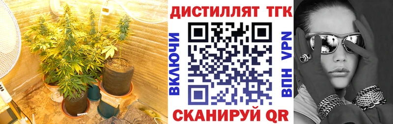 ТГК концентрат  mega маркетплейс  Новый Уренгой 