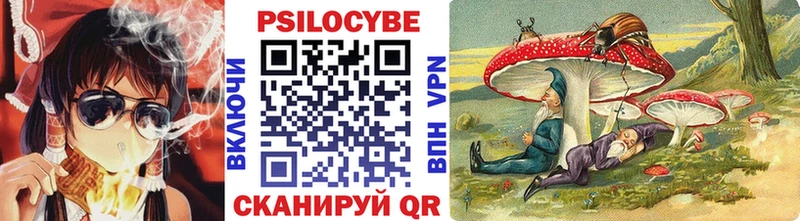 KRAKEN маркетплейс  Новый Уренгой  Галлюциногенные грибы Cubensis 